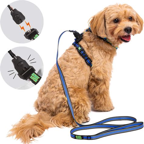 Prevent Injuries and Accidents with the Dog Daddy Magiclasp Leash's Superior Control